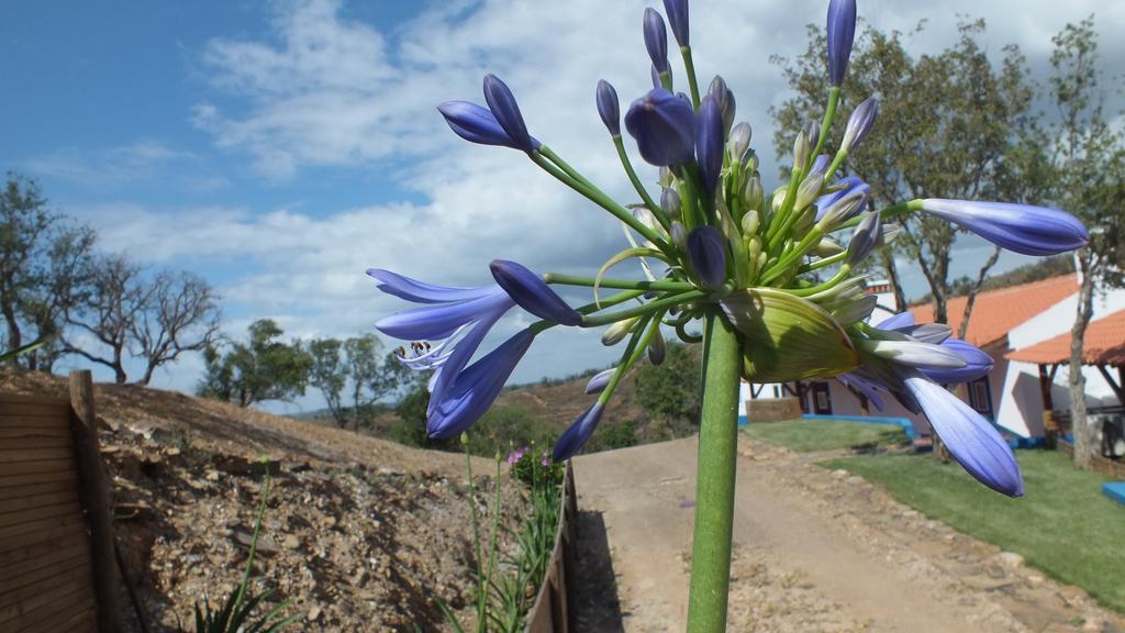 Monte Corgo Da Vaca Villa Saboia ภายนอก รูปภาพ